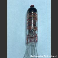 RYG10106184 RYG10106184  Pentodo RAYTHEON Valvole