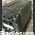 RT-323A/VRC-24 Ricetrasmettitore UHF RT-323A/VRC-24 Apparati radio