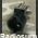 jakws19 Presa da pannello JACK  tasto telegrafico W.S.19 Mk Componenti elettronici