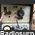 WS68 P  WIRELESS SET NO.68 P  Ricetrasmettitore spalleggiabile del 1942 WW2  Frequenza operativa da 1,75 - 2,9 Mhz in AM e CW Apparati radio