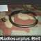 CX13063 Cavo collegameno CX 13063/U Cavi -Alimentazione - Connessioni-