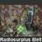 KIT20PRC320 Ricetrasmettitore Manpack in HF PRC-320 KIT Apparati radio militari