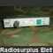 Racal2336 IT/TAPE Converter RACAL MA2336 Moduli  - Ricambi Originali -