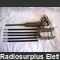 staffa_ant Staffa Antenna da veicolo con stili Antenne - Accessori - Cavi