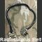 AMPHENOL 11pin AMPHENOL 11pin Cavo di collegamento per GRR-5 Accessori per apparati radio Militari