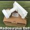CDP10TZ ILLUMINATORE CDP10TZ Fracarro LNB Doppia uscita (TWIN) N.F. 0,9dB  10,7 - 11,8 Ghz Telecomunicazioni
