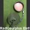 MS25043-20D Cappuccio Antipolvere  MS25043-20D Componenti elettronici