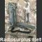 HO-82 con acc HO-82  Sacca con accessori per apparati radio RV-3/13-P Accessori per apparati radio Militari