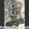 Switch UG77 Doppia presa da pannello  Switch UG77  Sdoppiatore 1 spina - 2 prese UG-77 Accessori per apparati radio Militari