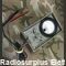 ME-77C/U Multimeter  ME-77C/U  Multimetro militare U.S. Army Accessori per apparati radio Militari