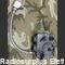 C-15 Control Unit  ARC C-15  Pannello di controllo per  Militar Aircraft Radio Accessori per apparati radio Militari