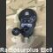 CW-23012 CW-23012  Controllo remoto per ricevitore   aircraft US Navy RU-17 Accessori per apparati radio Militari