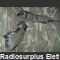 ER62B Ricetrasmettitore portatile VHF TR-PP-11 Apparati radio militari