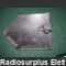Palaric Ricambio Paletta Pieghevole u.s. Army Miscellanea