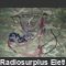 R-205 Ricetrasmettitore portatile  R-205 Apparati radio militari