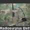 RT349 Transceiver RT-349 Apparati radio militari
