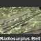 MS-02/PRC-1 Antenna a stilo per PRC-1 MS-02/PRC-1 Apparati radio