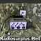 Apparato di prova Apparato di prova circuiti di bordo per Stazioni AN/GRC-3/8 Accessori per apparati radio Militari