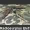 GY-11 KIT Ventatura per stili antenna GY-11 Accessori per apparati radio Militari