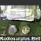 7732751-10  FSCM53399 Semiconduttore Militare per uso avionico 7732751-10  FSCM53399 Componenti elettronici