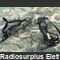 GRIVEL mod. G10 Coppia Ramponi Militari  GRIVEL mod. G10 Militaria