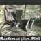 RV-2/400 -da rev- Ricetrasmettitore portatile VHF  RV-2/400 -da revisionare Apparati radio