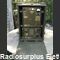 T-30A/TRC-8 T-30A/TRC-8  Trasmettitore campale per collegamenti punto -punto in UHF  da 230 a 250 Mhz in FM Apparati radio