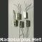 AC128K LOTTO 5 PEZZI- Transistor al Germanio AC128K Componenti elettronici